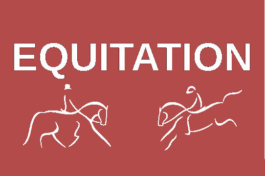 Equitation