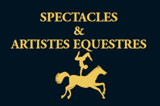 spectaclesartistes